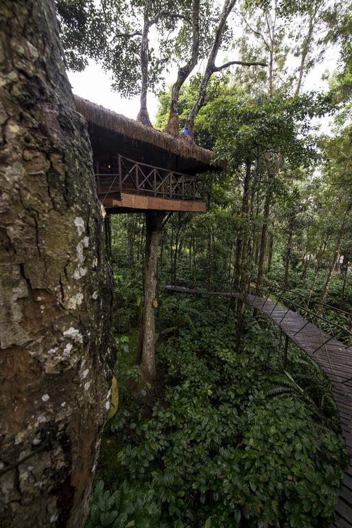 Pepper Trail Hotel Sultan Bathery Phòng bức ảnh