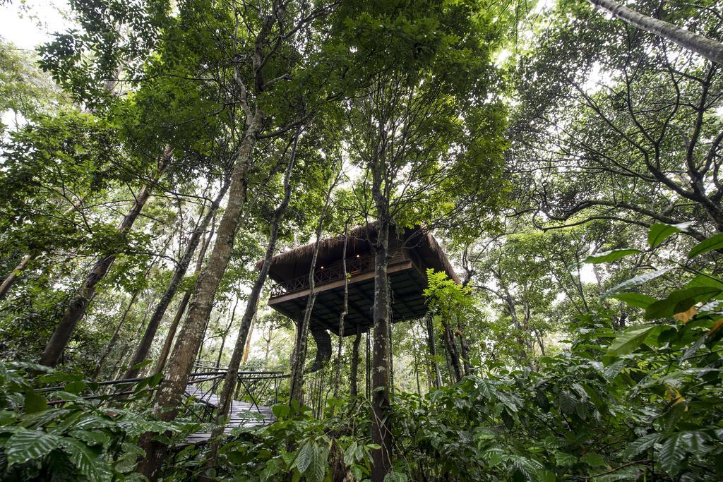 Pepper Trail Hotel Sultan Bathery Phòng bức ảnh