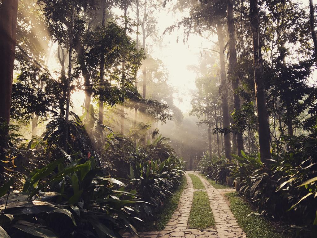 Pepper Trail Hotel Sultan Bathery Ngoại thất bức ảnh